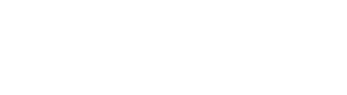 IFAN Group