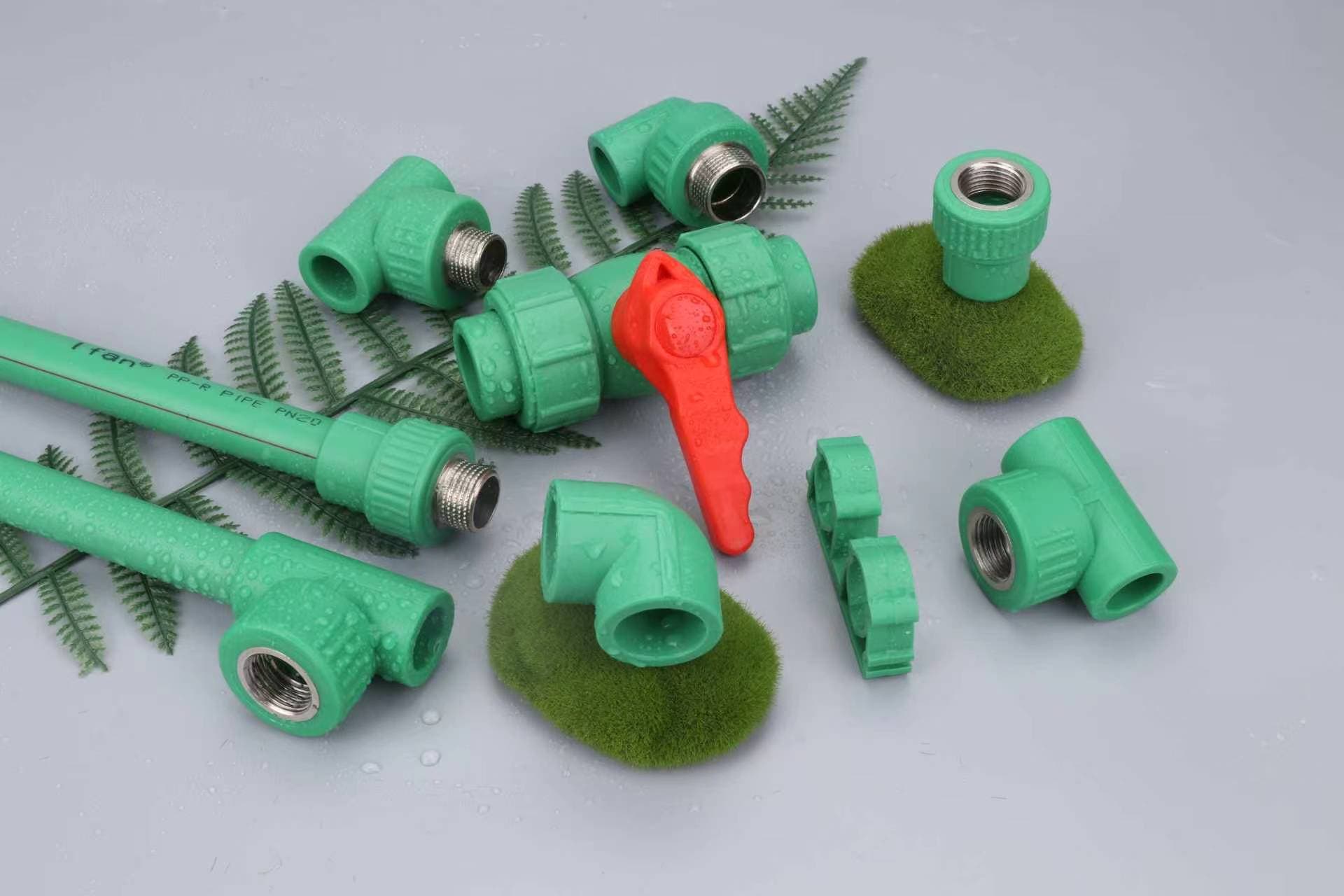 PPR Pipe & Fittings