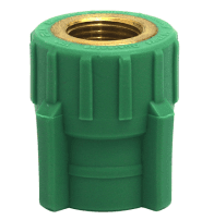 Female socket